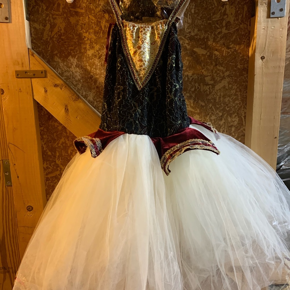 Revolution Dancewear LC dance costume